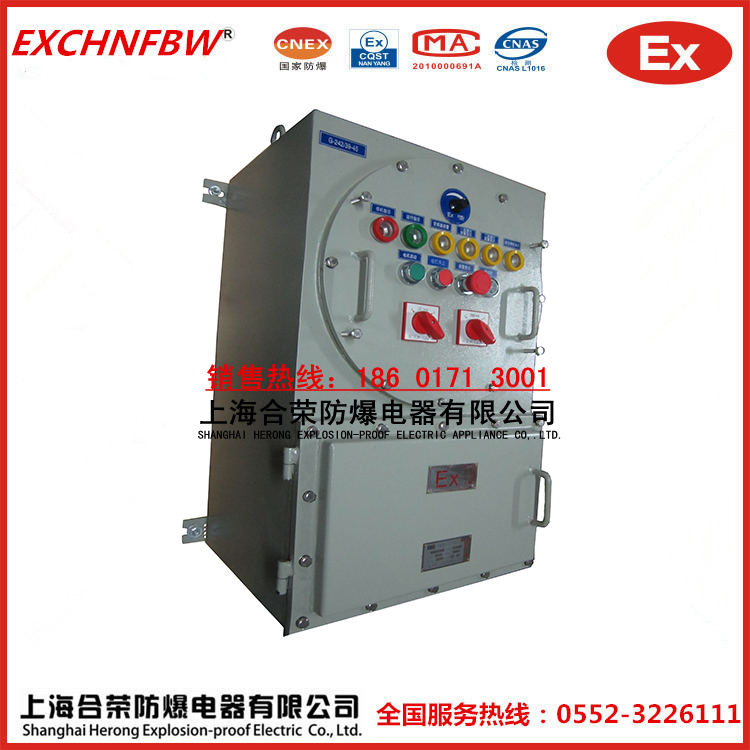 IIC級防爆配電箱